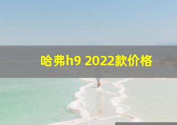 哈弗h9 2022款价格